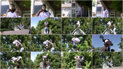 White Legorn | Download from Files Monster