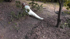 Bdsm Most Popular Lorelei in Mummification Bondage | Download from Files Monster