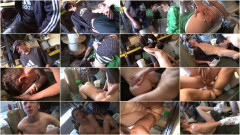 Wild Sensation Scene 2 | Download from Files Monster