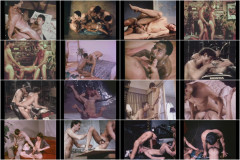 Falcon Collection 1970s Vol.1, Disc 1-5 | Download from Files Monster