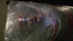 Mummy | Download from Files Monster