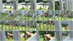 Beauties Eat Each Other Out In Public | Download from Files Monster