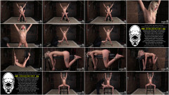 Chloe on Display | Download from Files Monster