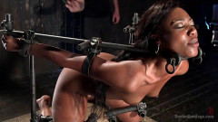 Agony's devotee is ensnared within merciless mechanisms | Download from Files Monster