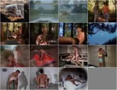 Perfect Summer | Download from Files Monster