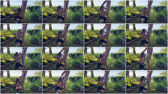 First Facial Red Fox OnlyFans | Download from Files Monster