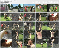 Discipline4boys - Collection  2 | Download from Files Monster