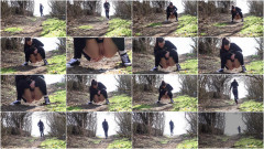 Out For a Run | Download from Files Monster