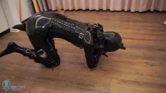 Humanoid Dog | Download from Files Monster