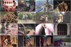 Lost On Adventure Island. 1984's Part 3 | Download from Files Monster