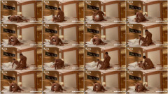 性瘾小狼 - Ep. 1 | Download from Files Monster