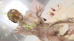 Wet & Messy - Three Star Dirty Restaurant part RCTD-654 | Download from Files Monster