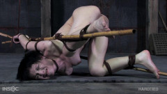 Painful Delights | Download from Files Monster