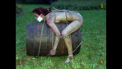 Farm part 3 | Download from Files Monster