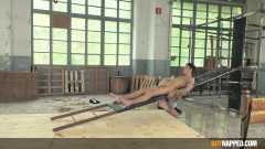 Xavier Sibley ,Angel Privvt | Download from Files Monster