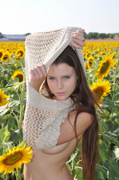 MetArt Valeria A - Recoger | Download from Files Monster