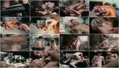 Laguna Pacific – They Work Hard for Their Money (1985) | Download from Files Monster