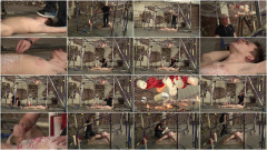 Stretched & Stroked By The Master | Download from Files Monster