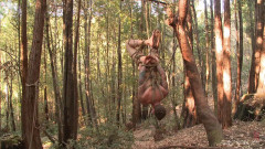 Bound Christian Wilde begs to cum in the woods | Download from Files Monster