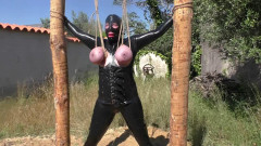 Breastsinpain Titslave Eve – Hanging in the Sun | Download from Files Monster