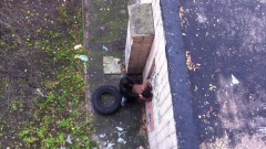 Drone recording sex in street | Download from Files Monster