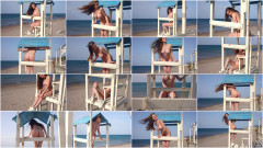 Springer sun | Download from Files Monster
