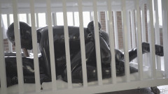 Caged | Download from Files Monster