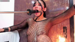 Sammy Charlotte chaturbate may 2024 part 1 | Download from Files Monster