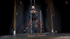 Linked Anomaly - Abigail Dupree | Download from Files Monster