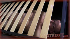 MistressT videos, part 06 | Download from Files Monster