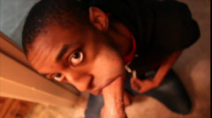HH - Southern Breeding | Download from Files Monster