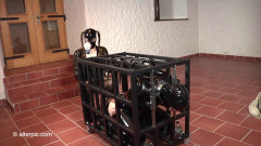 Ultra hard latex bdsm - Anna Rose - Charlotte in my Cage | Download from Files Monster