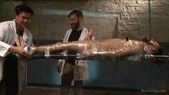 Health Inspectors and Mummify a Hot Piece of Meat | Download from Files Monster