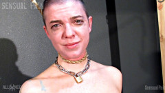 Stilted Pain | Download from Files Monster