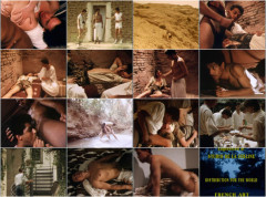 Chaleurs  Sex Oasis | Download from Files Monster