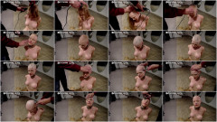 Greyhound's Transition - Going Hairless | Download from Files Monster