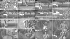 Austin Anderson Classic | Download from Files Monster