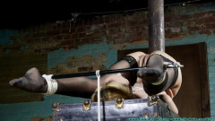 Slave Position Training for Ariel Anderssen - Part 6 Futilestruggles | Download from Files Monster