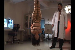 Rough Spanking For Asian Slaves | Download from Files Monster