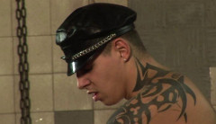 Bred In Captivity - 416p | Download from Files Monster