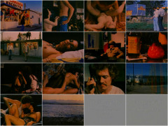 Tell Them Johnny Wadd Is Here 1975S | Download from Files Monster