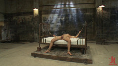 Spencer Reed  ,Dominic Pacifico  ,Sebastian Keys | Download from Files Monster