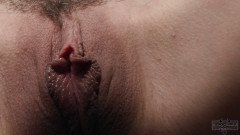 Sinn Sage - The Big Winner | Download from Files Monster