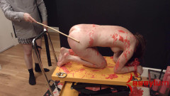 Calipig vol.2 | Download from Files Monster