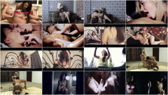 Sexual Surrender (2016) | Download from Files Monster