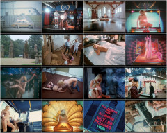 Erotica 1981's | Download from Files Monster