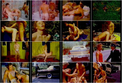 Nova Films – Doug Harper is Watching You (1981) | Download from Files Monster