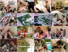 Color Climax#3 1978's Part 3 | Download from Files Monster