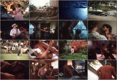 Wild Dallas Honey 1982's | Download from Files Monster