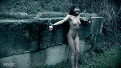 Wet Dreams | Download from Files Monster